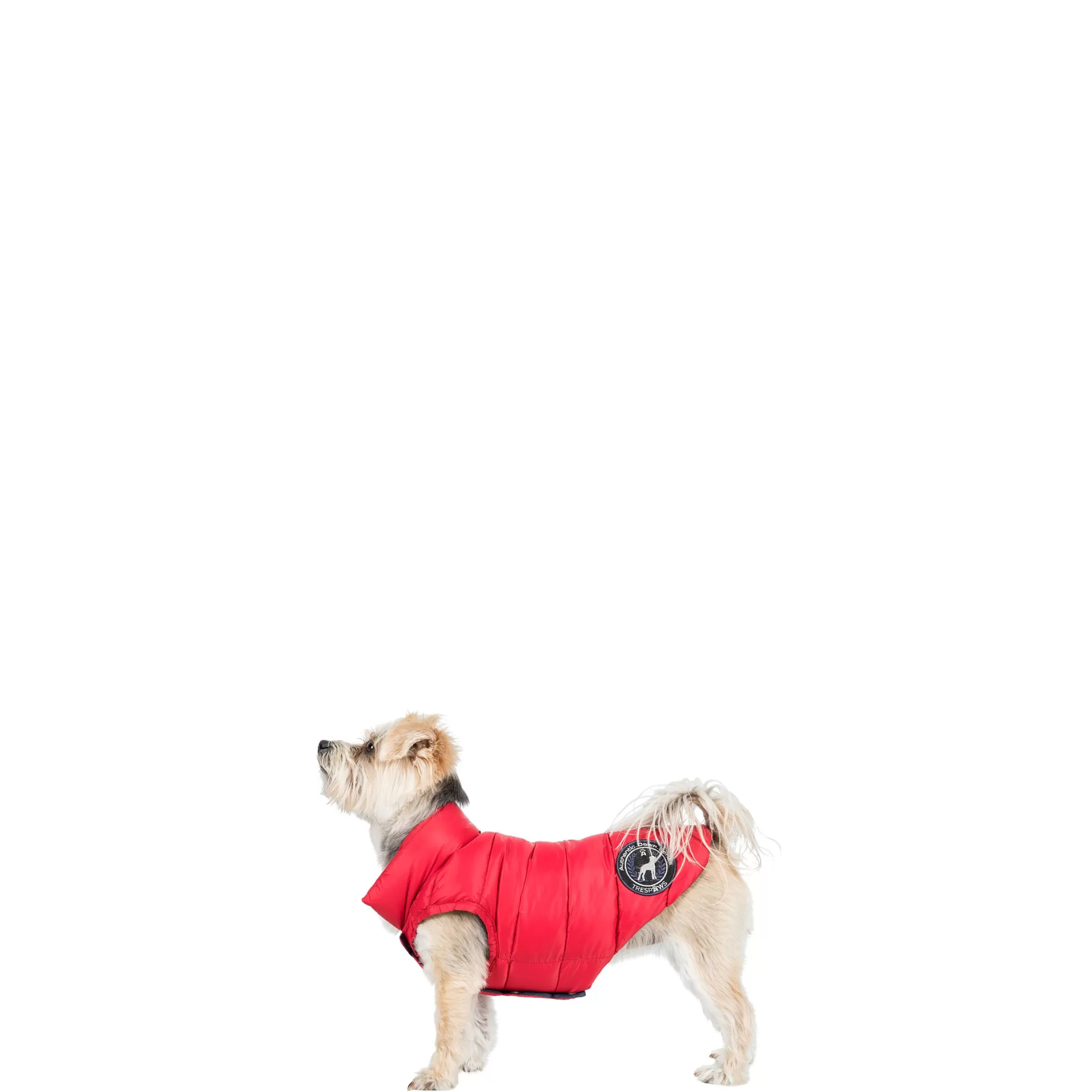 Trespaws XXS Down Dog Jacket in Red Dogby | Trespass Fashion