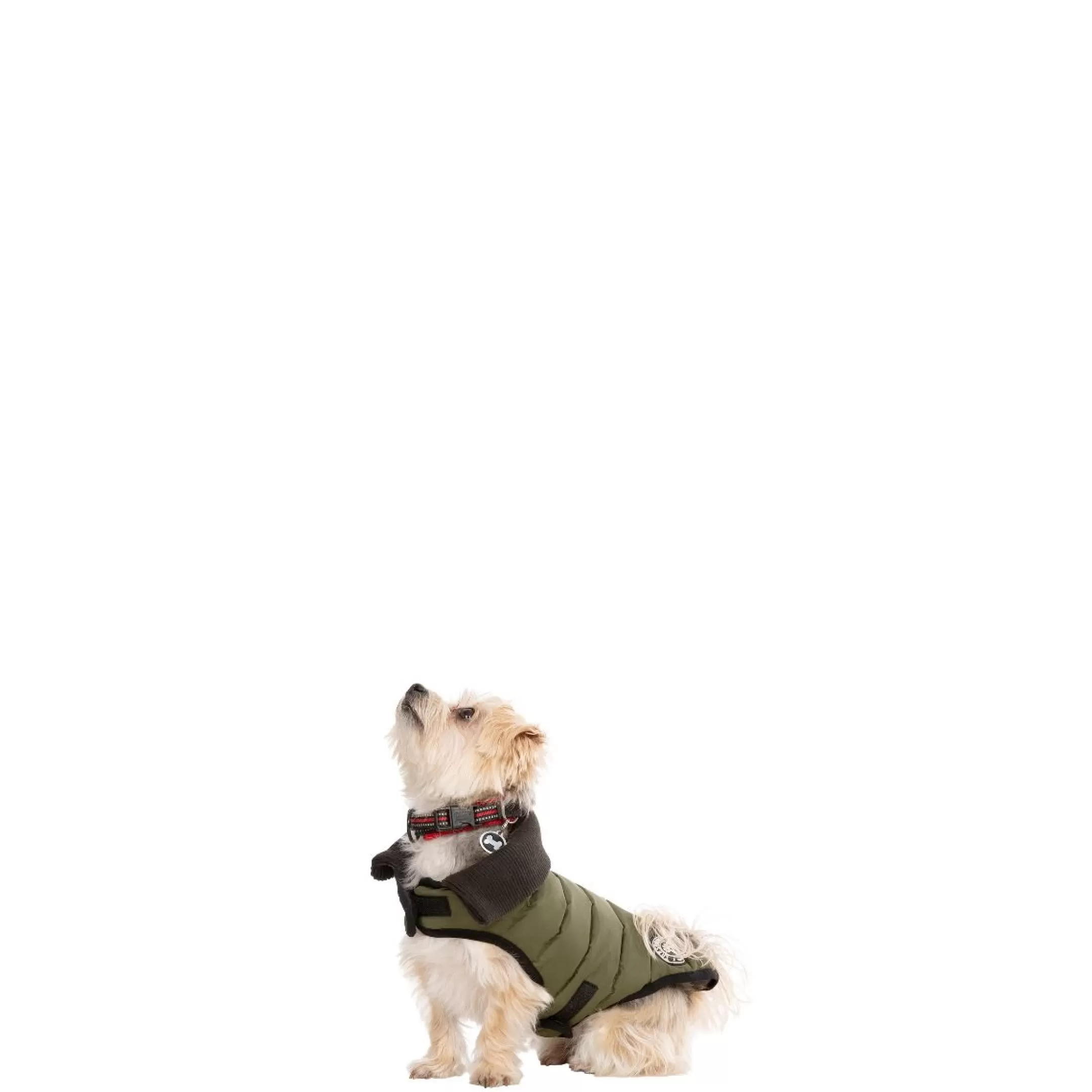 Trespaws XXS Eco Friendly Dog Puffer Jacket in Khaki Lloyd | Trespass Flash Sale