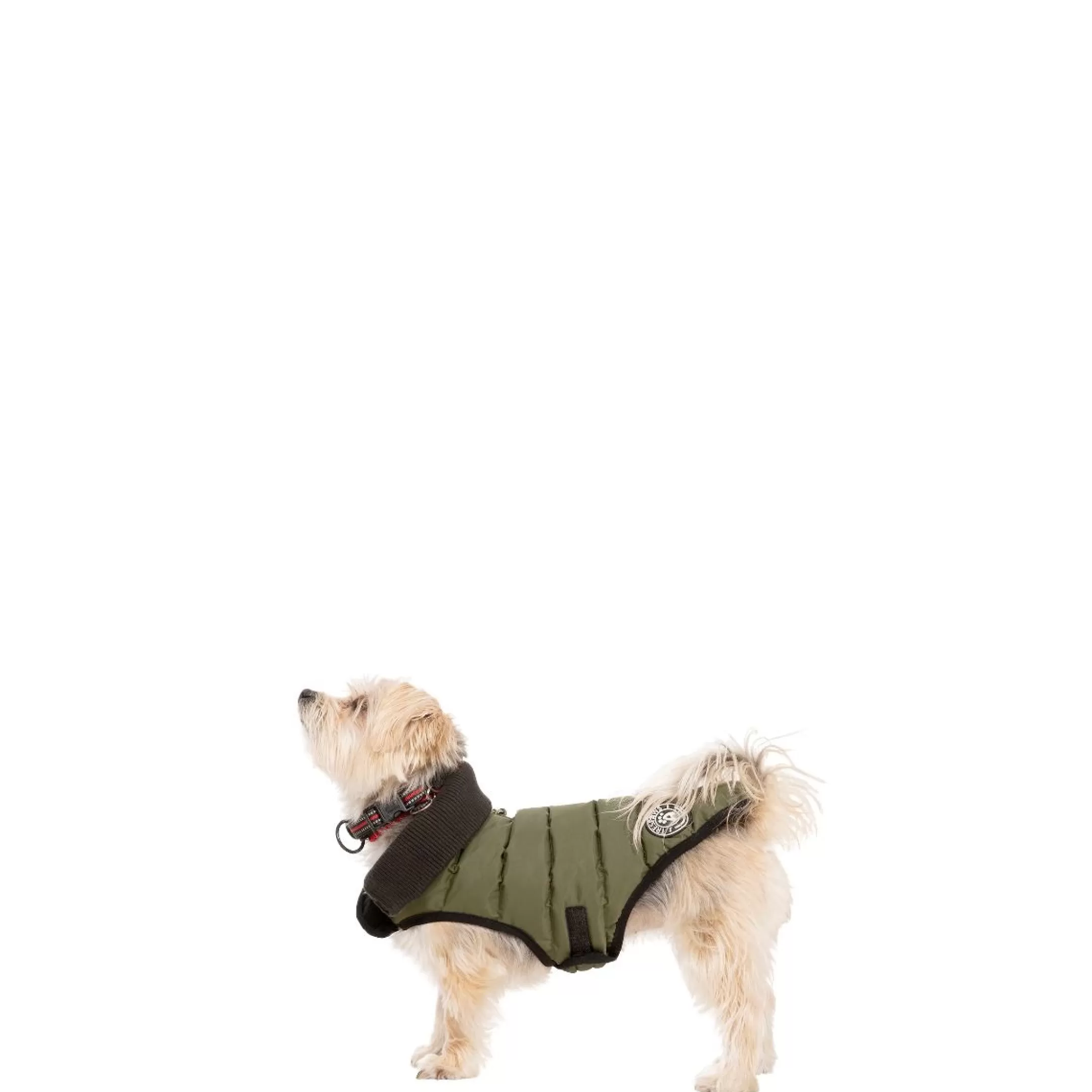 Trespaws XXS Eco Friendly Dog Puffer Jacket in Khaki Lloyd | Trespass Flash Sale