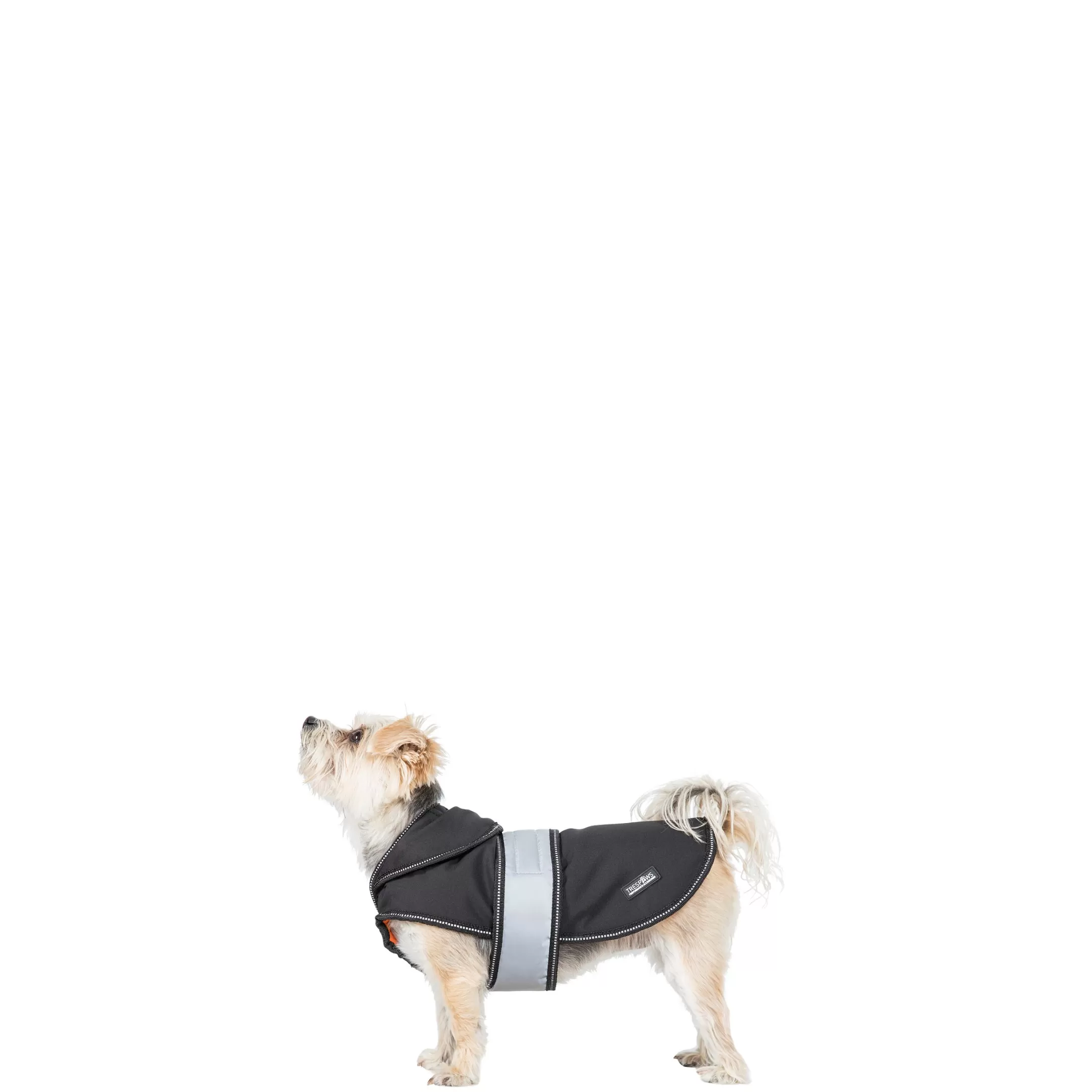 Trespaws XXS Softshell Dog Coat in Black X Butch X | Trespass Fashion